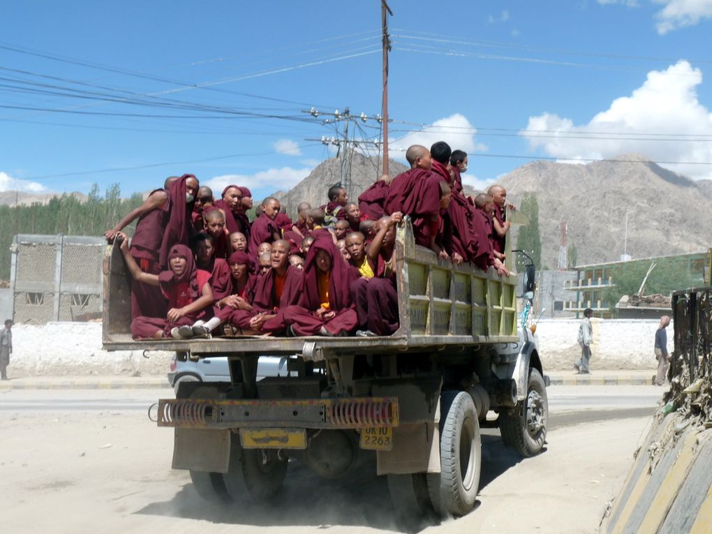 Album - Ladakh-2010