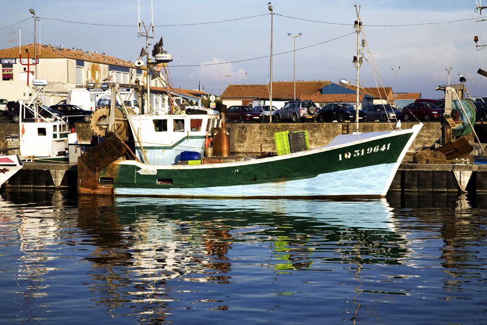 Les bateaux de pêche de l'Ile d'Oléron - Photos Thierry Weber Photographe La Baule Guérande