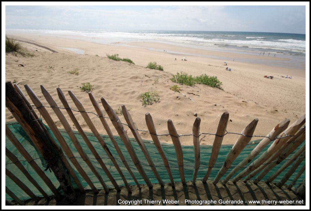 Dunes et plages atlantique - Photos Thierry Weber