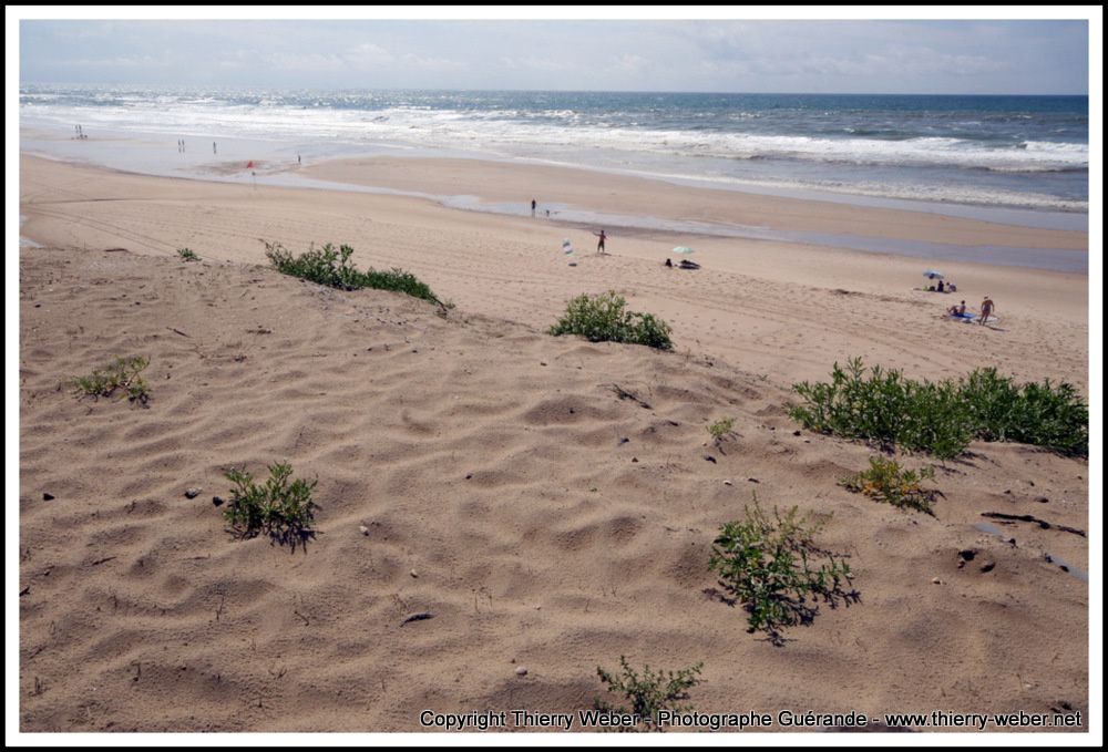 Dunes et plages atlantique - Photos Thierry Weber