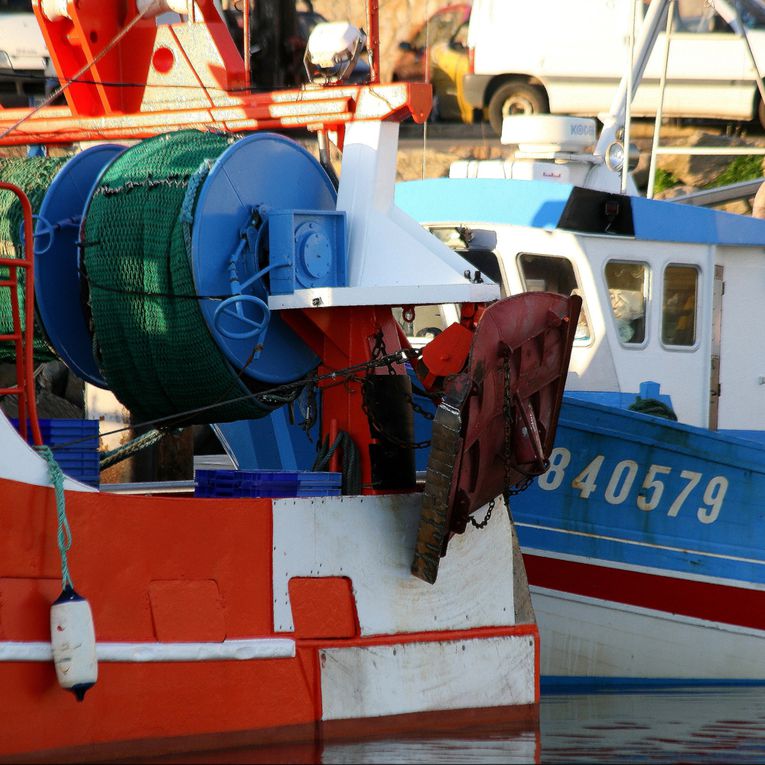 Les bateaux de pêche dans le port de la Turballe Loire-Atlantique - Photos Thierry Weber