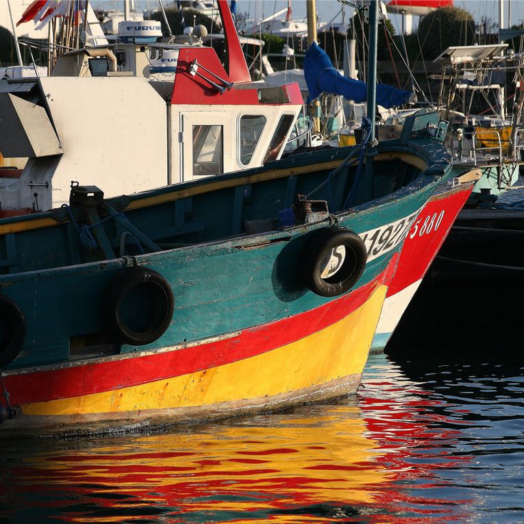 Les bateaux de pêche dans le port de la Turballe Loire-Atlantique - Photos Thierry Weber