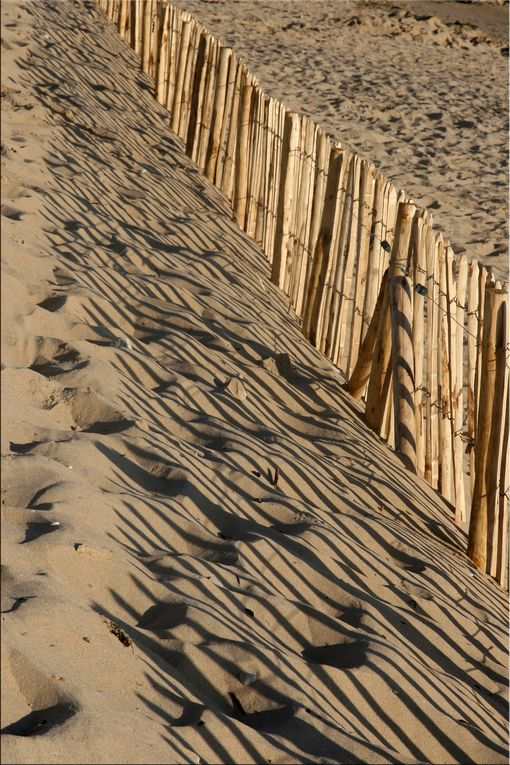 Album - Les dunes et le sable