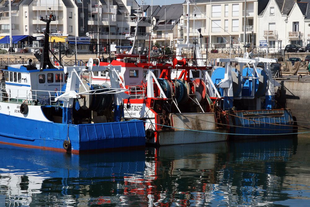 Le monde de la Pêche sur la Côte Atlantique è Photos Thierry Weber Photographe de Mer