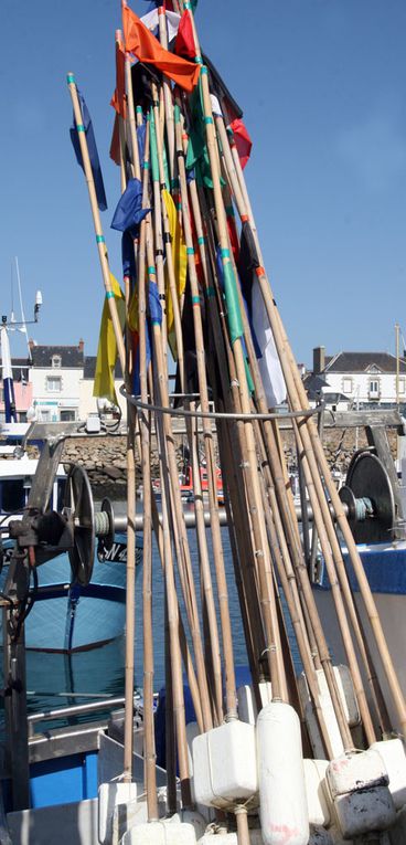 Le monde de la Pêche sur la Côte Atlantique è Photos Thierry Weber Photographe de Mer