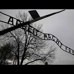 27 janvier 1945 : libération d'Auschwitz par les soviétiques