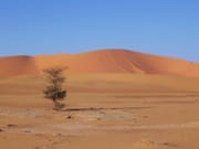 http://image-photos.linternaute.com/image_photo/180/autres-deserts-algerie-1108520435-1213791.jpg