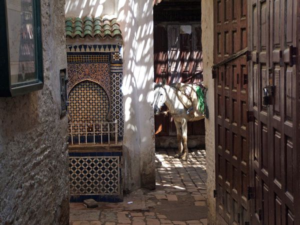 Album - Voyageur du Maroc