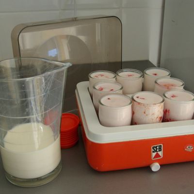 1 A Yoghurt machine from brand SEB 1 Yaourtiere de